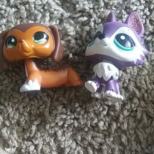 Littlest pet shops